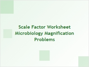 Advanced Microscopy Problems: Calculating Magnification and Scale Factor
